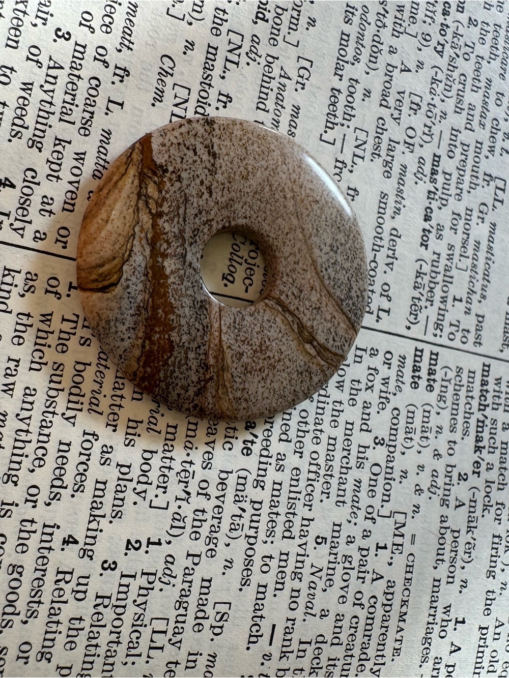 Polished Picture Jasper Donut Pendant in Earth Tones